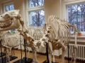 2018 11 LSMU (5)