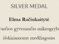 2024-03-18-Silver-Elma-Raciukaityte