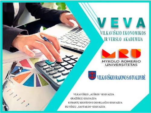 VEVA-logo-2024-org